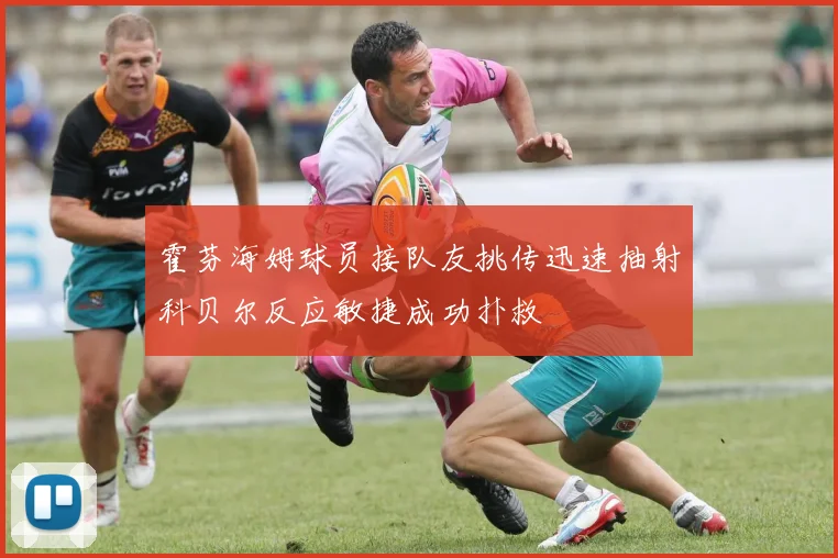 霍芬海姆球员接队友挑传迅速抽射科贝尔反应敏捷成功扑救